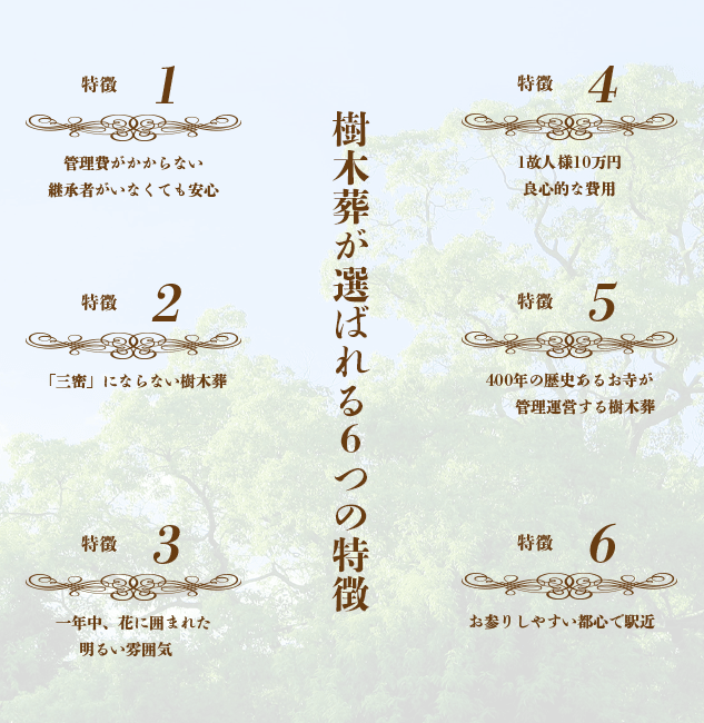 樹木葬が選ばれる6つの特徴
