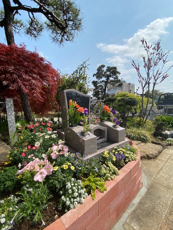 都心ではなかなか見ることのできない広い空の下